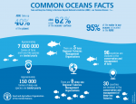 Common Oceans Facts